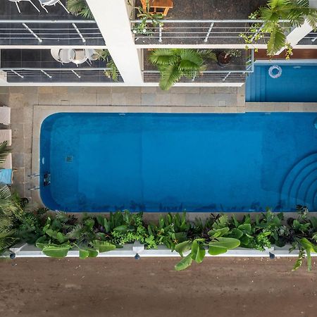 Echor Samara Morjim Goa Sea View Restro Otel Dış mekan fotoğraf